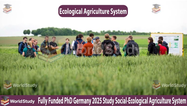 Fully Funded PhD Germany 2025