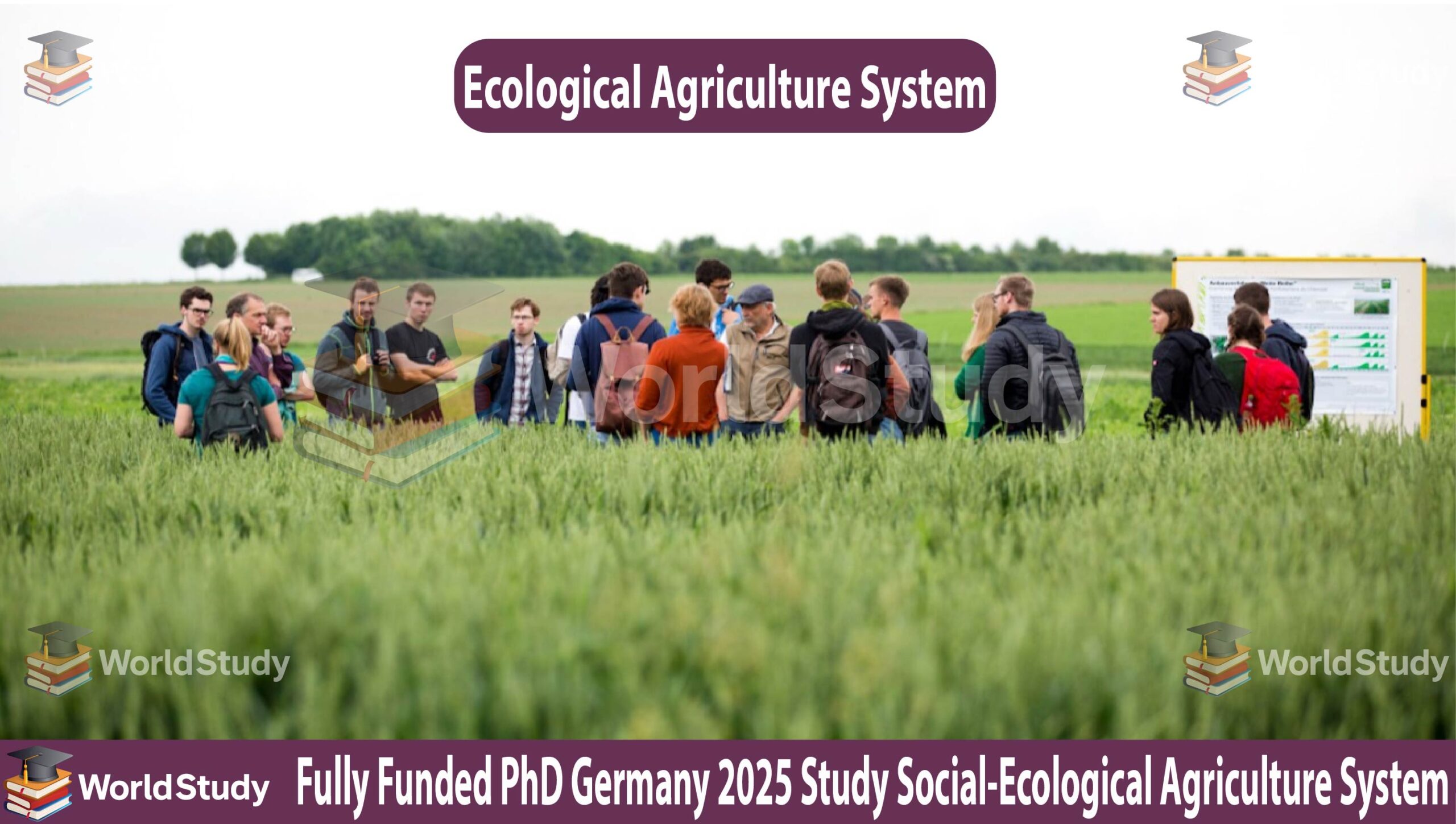 Read more about the article Fully Funded PhD Germany 2025: Study Social-Ecological Agriculture System