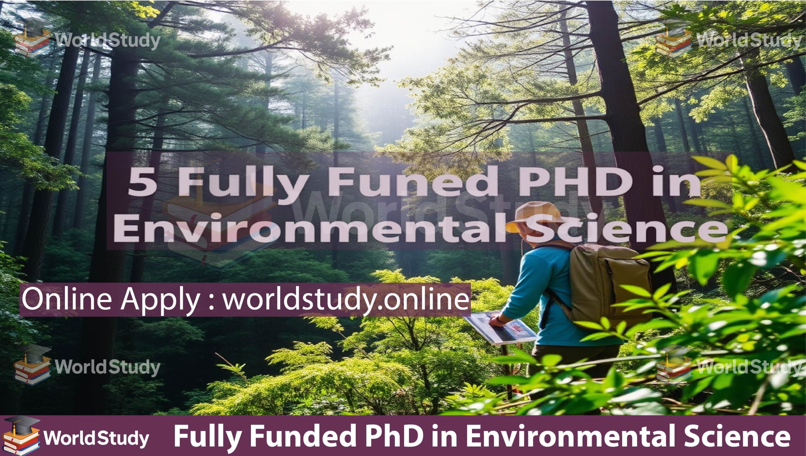 Read more about the article Fully Funded PhD in Environmental Science  Australia 2025 – Apply at University of Tasmania