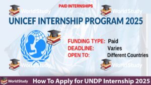Read more about the article How To Apply for UNDP Internship 2025 – Fully Funded Opportunity with Monthly Stipend