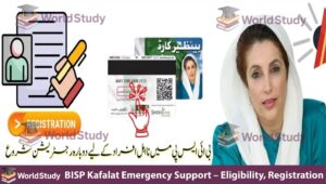 Read more about the article BISP Kafalat Emergency Support – Eligibility, Registration & Key Benefits 2025