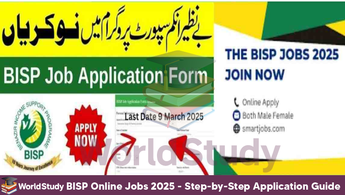 You are currently viewing BISP Online Jobs 2025 – Step-by-Step Application Guide for Applicants